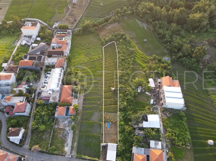 1200m² Expansive Plot in Prime Berawa With Rice Field and River Views 2