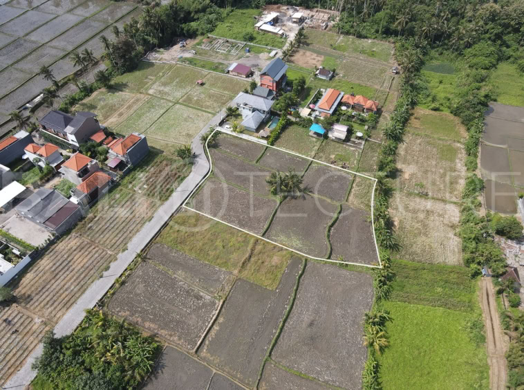 2300m2 of Land For Sale in Near Prime Area Ubud 3