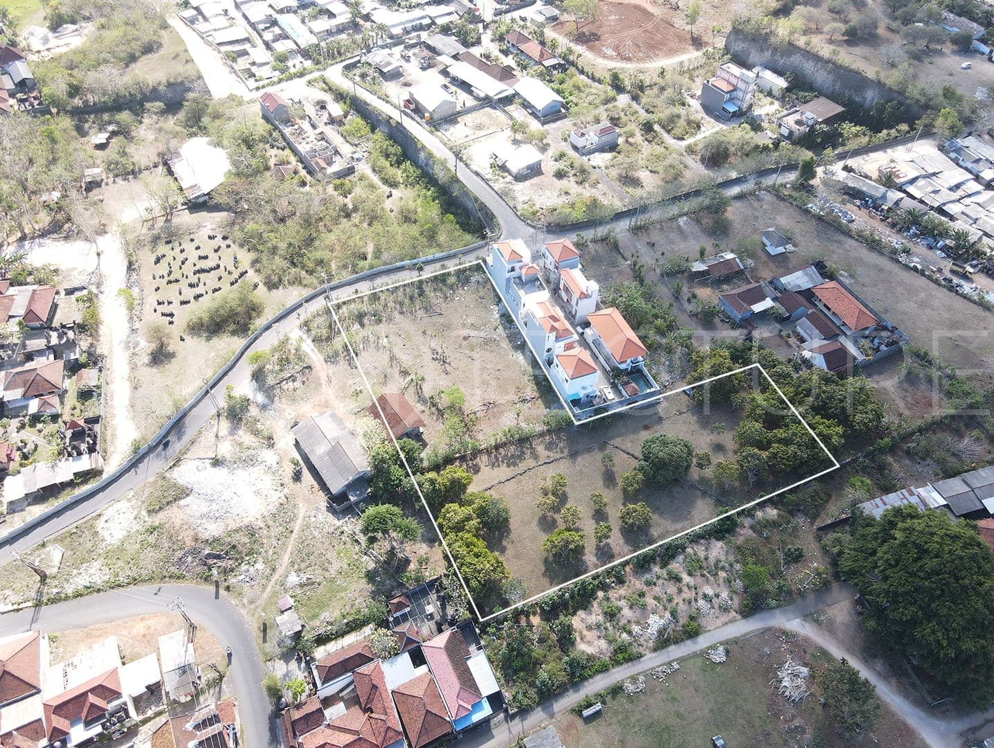 Premium 6000m2 Plot of Land in Ungasan 4
