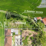 Serene 1000m² Leasehold Land in Kaba-Kaba Tabanan 3