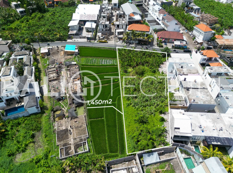 1450m² Land with Stunning Rice Field Views in Tumbak Bayuh 3