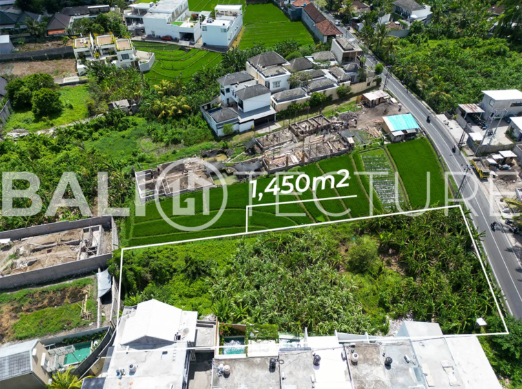 1450m² Land with Stunning Rice Field Views in Tumbak Bayuh 4