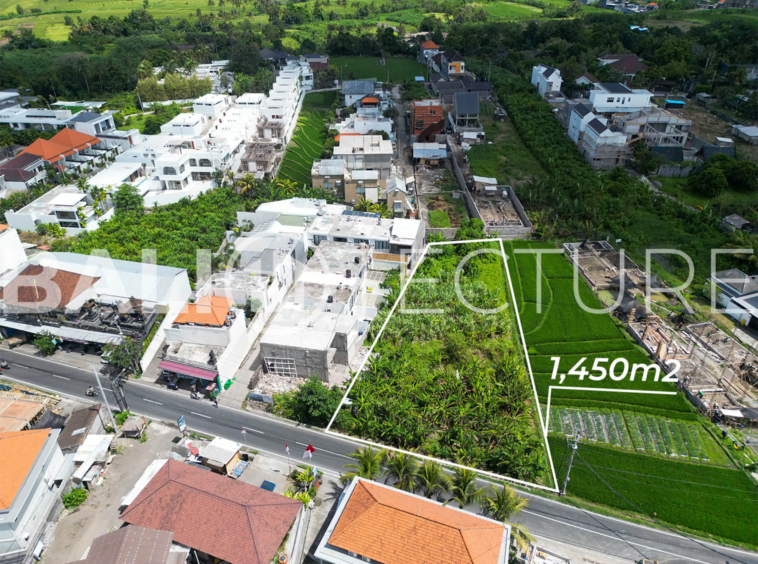 1450m² Land with Stunning Rice Field Views in Tumbak Bayuh 1