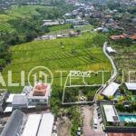 Exceptional 270m² land in Padonan with greenbelt views, ideal for building a dream villa