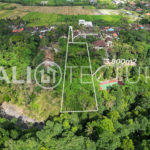 3800m2 freehold land in Tabanan 1