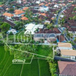 Prime 677m² Freehold Land in Babakan, Canggu 1