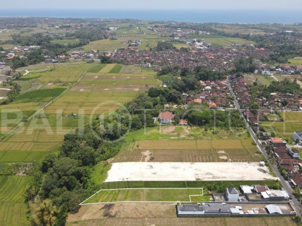 1100m2 Stunning Land With Ricefield View In Kedungu 1