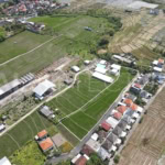2500m2 Stunning Land With Ricefieldview In Buduk 2