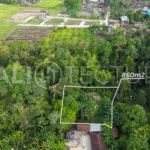 "860m² leasehold land in Pejaten, Tabanan, Bali, with peaceful riverfront setting.