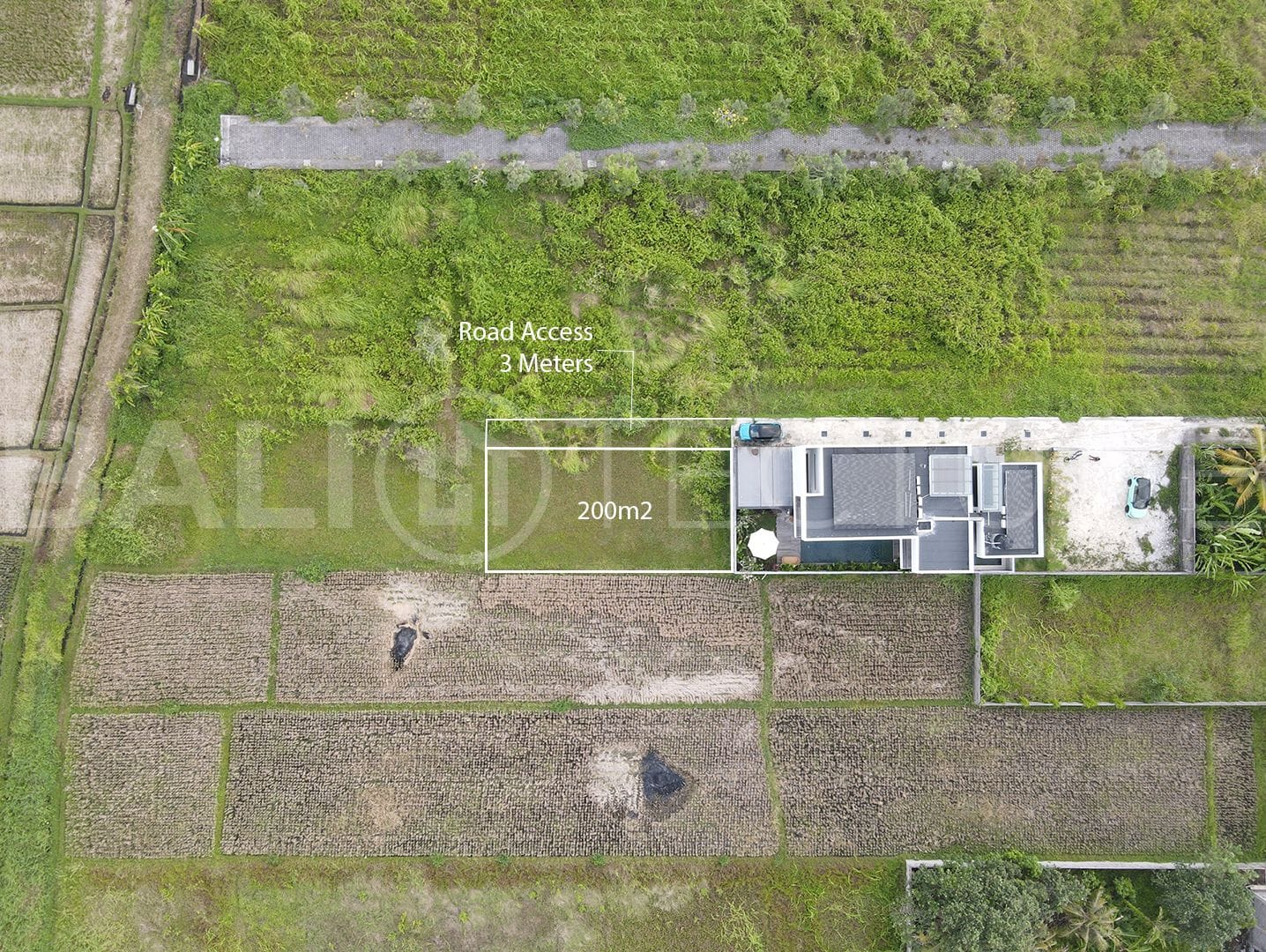 Stunning 200m2 of Land in Kedungu 5