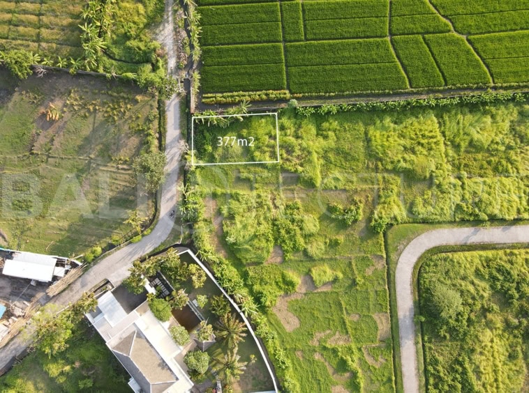 377m2 land in Kedungu for sale 4