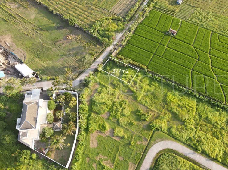 377m2 land in Kedungu for sale 5