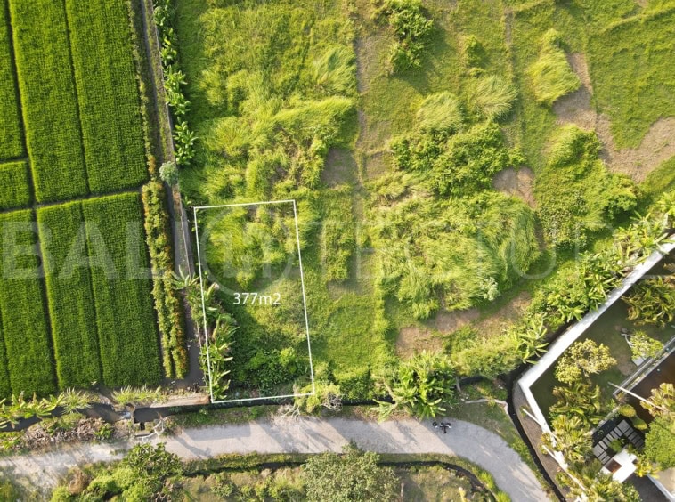 377m2 land in Kedungu for sale 7