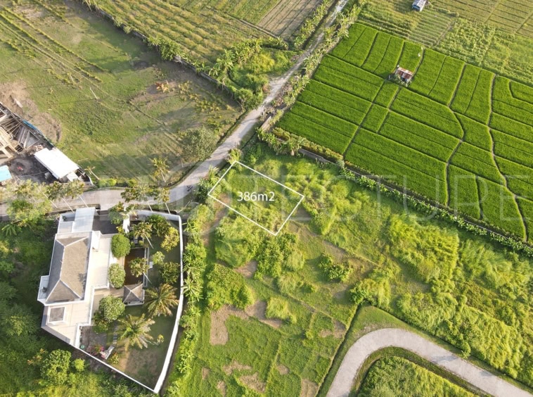 Freehold Land in Kedungu Beach 2