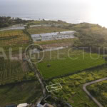 Freehold Land in Kedungu Beach 5