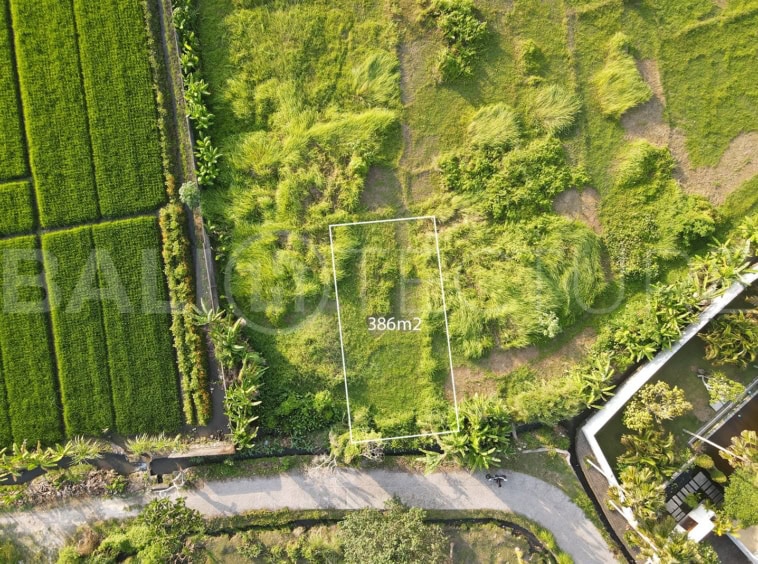 Freehold Land in Kedungu Beach 7