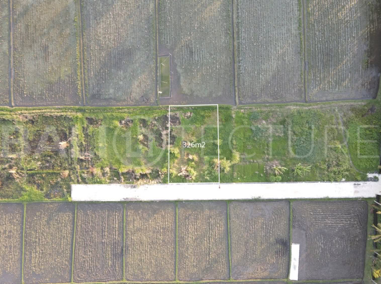 326m2 of Land in Kedungu for sales 1