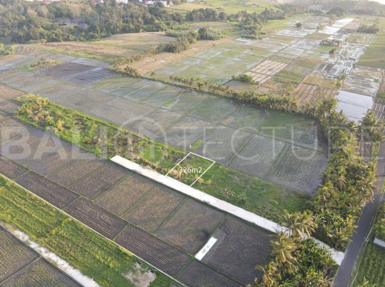 326m2 of Land in Kedungu for sales 2