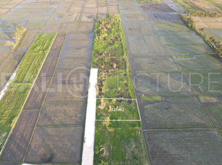 326m2 of Land in Kedungu for sales 3