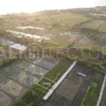 326m2 of Land in Kedungu for sales