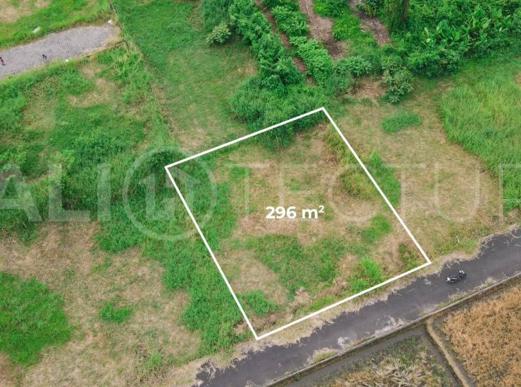 300m2 of Land For Sale in Kedungu with Ricefield Views3