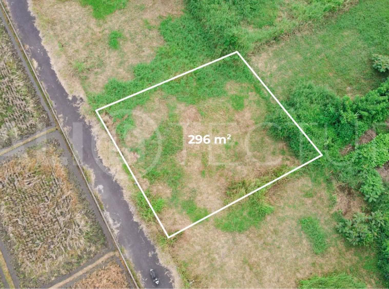 300m2 of Land For Sale in Kedungu with Ricefield Views4
