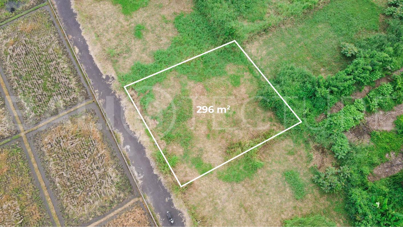 300m2 of Land For Sale in Kedungu with Ricefield Views4