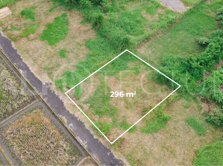 300m2 of Land For Sale in Kedungu with Ricefield Views5