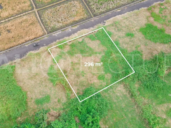 300m2 of Land For Sale in Kedungu with Ricefield Views6