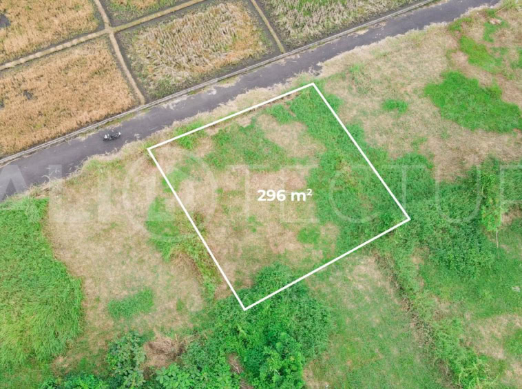 300m2 of Land For Sale in Kedungu with Ricefield Views6
