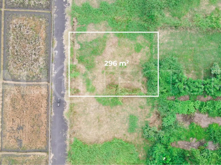 300m2 of Land For Sale in Kedungu with Ricefield Views2