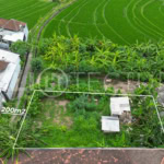 Scenic Bali land in Cepaka village, ideal for private residence or holiday rental