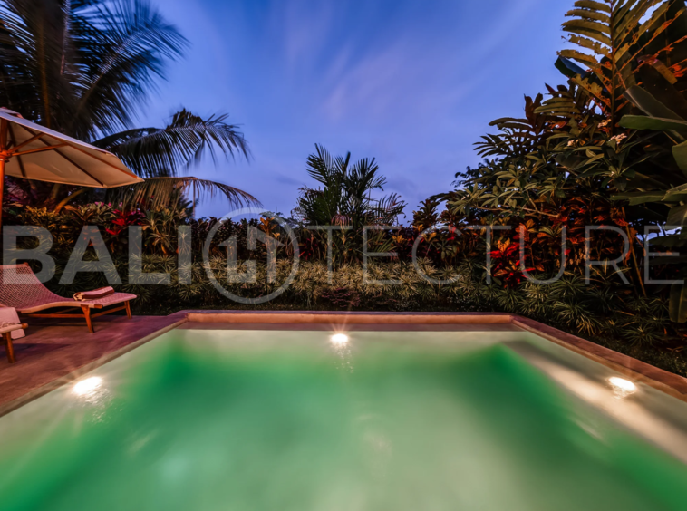 Interior view of the open-plan living area in a stylish Ubud villa, blending comfort and modern aesthetics.