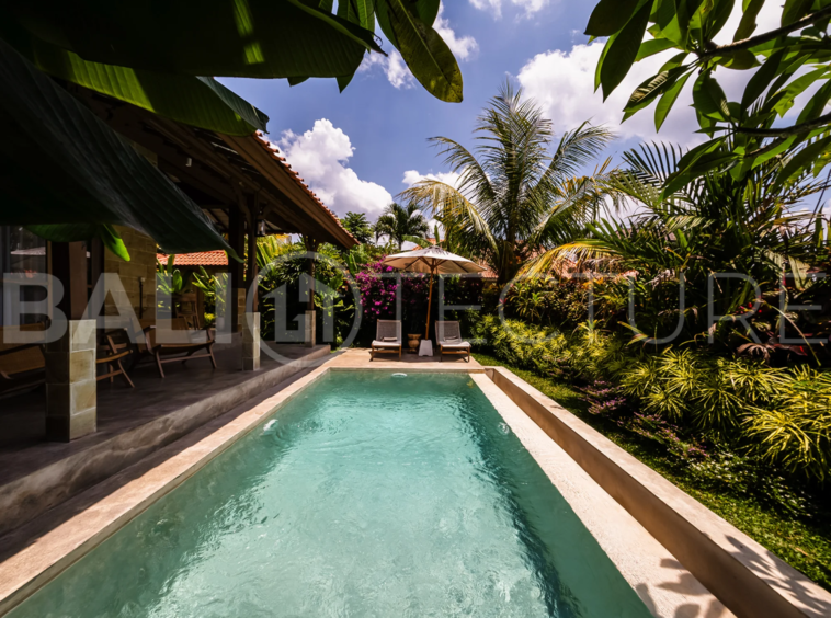 A modern 1-bedroom villa in Ubud, featuring a private pool surrounded by lush greenery and sleek contemporary design.