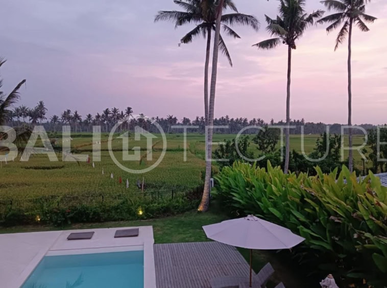 Balinese Modern 2 Bedroom Stunning Villa in Ubud 3