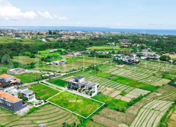 Nyanyi Freehold Land for Sale Walk to the Beach, Invest in an Upcoming Area04