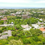 A Rare Find Small Land for Sale in Ungasan3