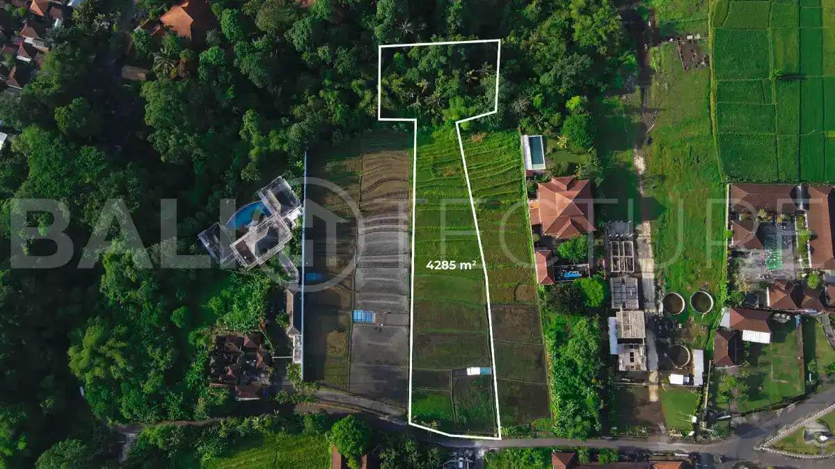Development Ready Land in Buwit Prime 42 Are Plot for Lease2