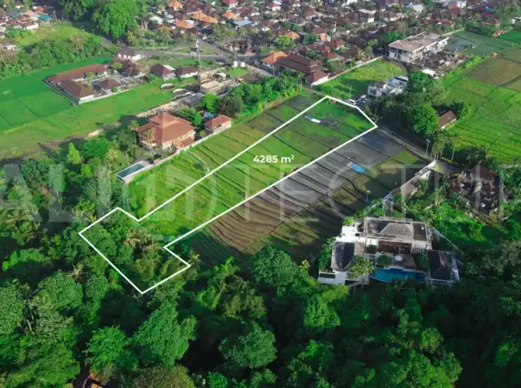 Development Ready Land in Buwit Prime 42 Are Plot for Lease2