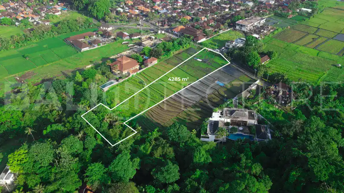 Development Ready Land in Buwit Prime 42 Are Plot for Lease2