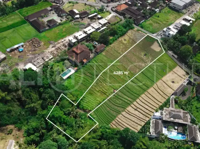 Development Ready Land in Buwit Prime 42 Are Plot for Lease4