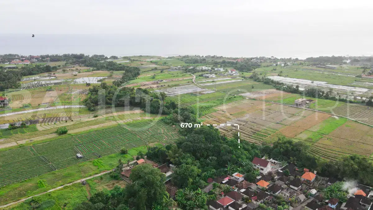 Freehold Land Opportunity in Tanah Lot, Peaceful Location, Great Potential2