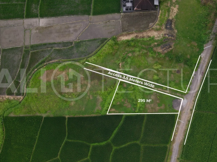 Kedungu Land for Lease, Minutes to the Beach2