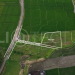 Peaceful Residential Plot in Bali’s Kedungu Area3