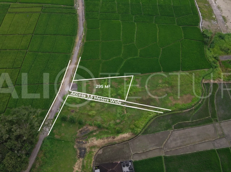 Kedungu Land for Lease, Minutes to the Beach3