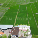 Land with ricefields views