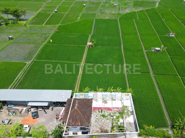 Land with ricefields views