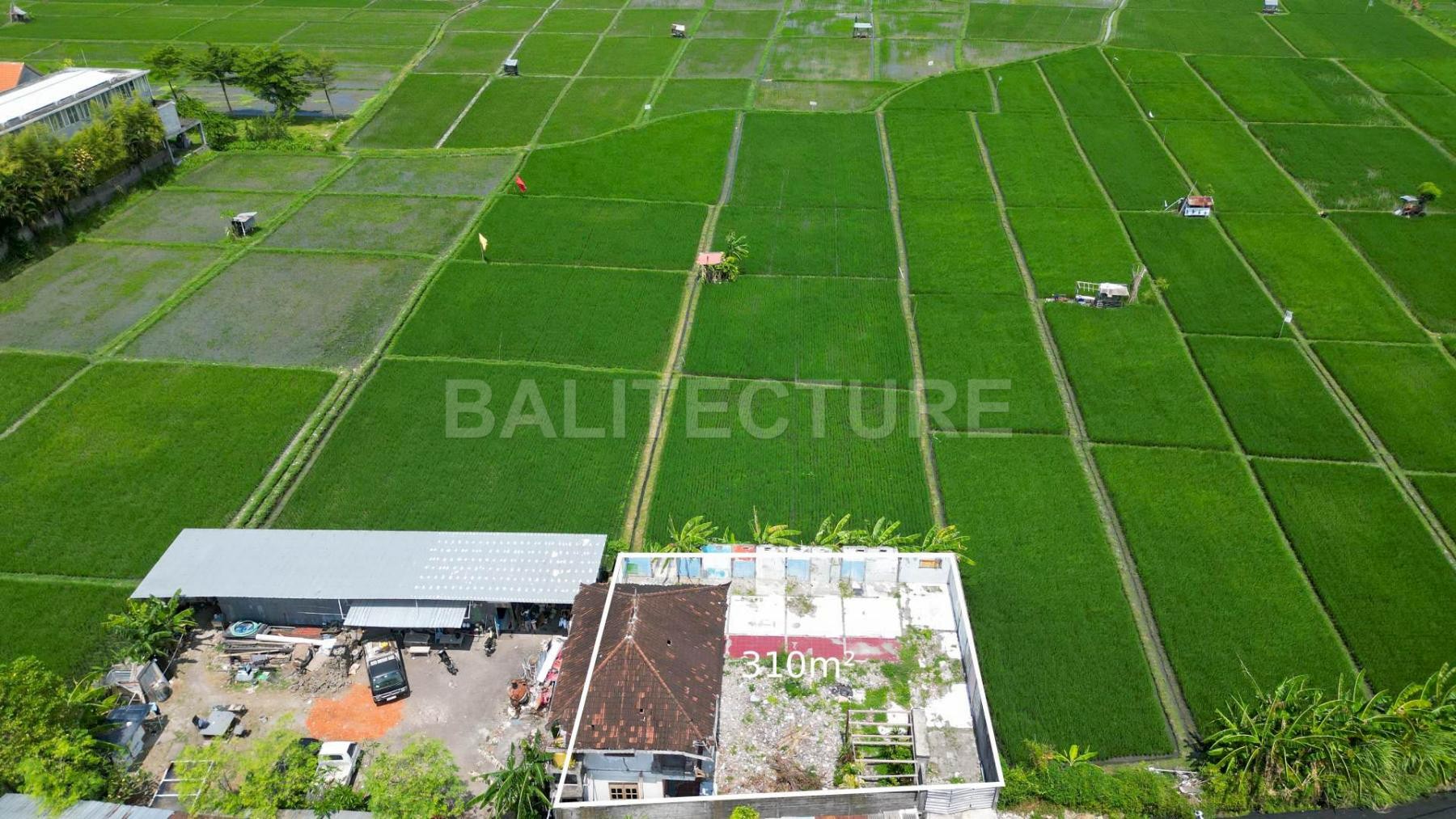 Land with ricefields views