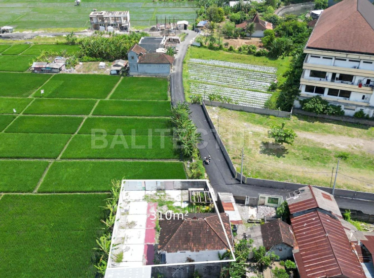 leasehold land with ricefiled view