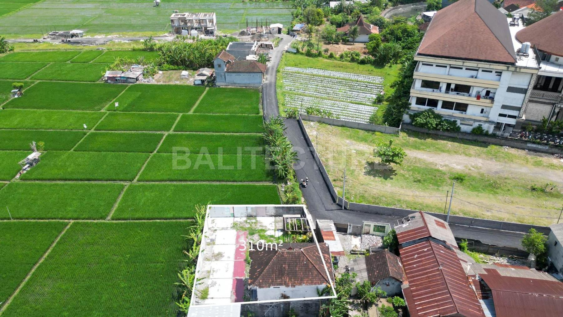 leasehold land with ricefiled view